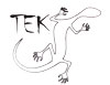 LOGO-SALAMANDRA-TEK