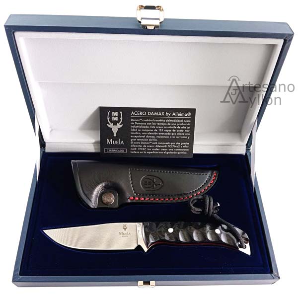 Cuchillo Muela Husky 10M-DX con funda de piel negra y certificado de autenticidad, presentados en un estuche de colección con interior acolchado azul.