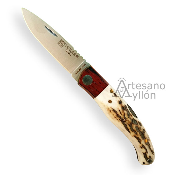 Navaja Joker Koala NC-124 abierta con hoja satinada de 7 cm en acero Mova 1.4116 y mango de asta de ciervo con virola de madera granadillo.